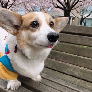 Meet your Posher, Pei